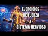 Ejercicios de fuerza y sistema nervioso