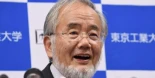 Yoshinori Ohsumi, biólogo celular: "La autofagia es como el Pacman, las células se comen las proteínas no necesarias y rompen sus aminoácidos para reciclarse"