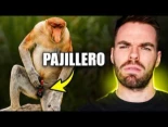 La paja ¿Por qué la evolución nos hizo pajeros ?