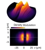 Un supersólido de polaritones en un cristal fotónico semiconductor
