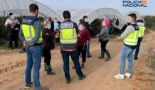Detenido en Huelva por explotación laboral y sexual de varias mujeres migrantes