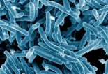 Expertos alertan de que las "superbacterias" podrían causar más muertes que el cáncer en 2050