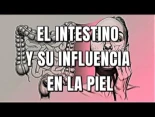 El intestino y su influencia en la piel