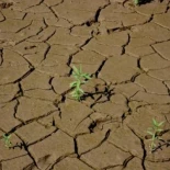 El mundo entra en ‘bancarrota hídrica’, según la ONU