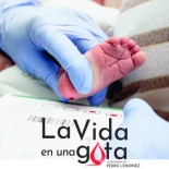 Iniciativa Legislativa Popular Cribado Neonatal Homogéneo