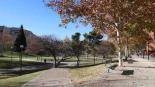 Siete detenidos, cinco menores, tras agredir y robar a un hombre que paseaba a su perro en el Parque Bruil de Zaragoza