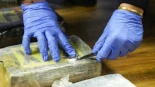 El narcotráfico en Andalucía, una hidra de infinitas cabezas que ya desafía al Estado