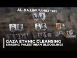 Israel eliminó más de 2700 linajes familiares palestinos en el genocidio de Gaza (EN)