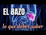 El Bazo: lo que debes saber
