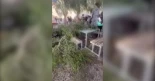 Susto en un instituto: una rama cae sobre una alumna en pleno recreo