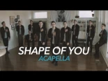 Ed Sheeran - Shape of You [Acapella]