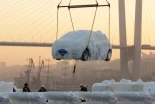 Cuando el mar decide que no vas a comprarte ese coche japonés que tanto quieres: el día que un cargamento entero llegó a Vladivostok congelado por dentro y por fuera