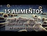 15 alimentos que promueven la diversidad microbiana en nuestro intestino