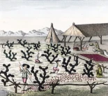 Rojo en todo el mundo [Eng]