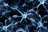 Las células inmunes modificadas ayudan a reducir las proteínas tóxicas en el cerebro causante del Alzheimer| EN