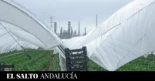 El sector de la fresa en Huelva, más de 26 años en la cúspide de la vulneración de derechos humanos