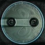 Ingenieros neoyorquinos crean “engranajes líquidos” con dos cilindros lisos que transmiten rotación sin contacto