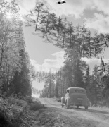 El ingenioso camuflaje de las carreteras en Finlandia durante la Segunda Guerra Mundial