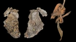 Las piezas de ropa cosidas más antiguas del mundo estuvieron guardadas en una cueva de Oregón durante 12.000 años [Eng]