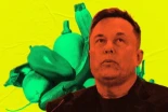 [ENG] El Gobierno de EE.UU. Implementa Grok de Elon Musk como Bot de Nutrición, Donde Inmediatamente Aconseja sobre el Uso Rectal de Verduras