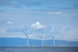 La eólica marina flotante necesita un impulso político para su desarrollo comercial