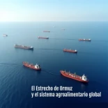 El Estrecho de Ormuz y el sistema agroalimentario global
