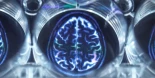 Científicos están tratando de entrenar cerebros cultivados en laboratorio. Los cerebros han empezado a resolver problemas.(ing)