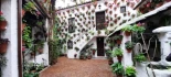 Paseo por los patios de Córdoba