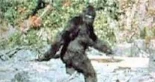 Nueva revelación destruye evidencia icónica de la existencia del BigFoot