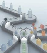 Ingenieros del MIT crean bacterias que convierten botellas de plástico en medicamentos, combustible o electricidad