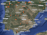 Especies de bosques mediterráneos en la península
