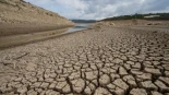 La sequía está entrenando a super bacterias resistentes a los antibióticos en el suelo