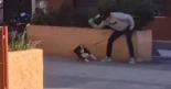 Un hombre golpea a su perro en una plaza de Huelva y los vecinos actúan. Buscan identificar al agresor