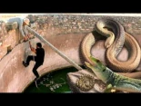 RESCATANDO ANIMALES a punto de morir en POZOS ABANDONADOS: culebras, sapos, ranas, lagartos y más (Eugenio Monesma - Documentales)