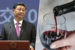 La industria del vino se ha encontrado en China con algo peor que la crisis del alcohol: la lucha contra la inmoralidad