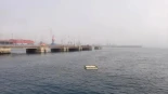 Gijón instala una plataforma flotante para la recuperación de los charranes, aves marinas en peligro