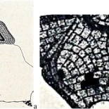 Un mosaico romano olvidado revela la única imagen conocida de una cazadora de bestias en la arena (ENG)