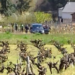 Muere un hombre de 77 años en un accidente de tractor en una finca Vilamartín de Valdeorras