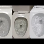 Imágenes de 170 tazas de váter distintas cuando se les tira de la cadena