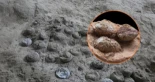 Descubren un yacimiento de anidación de dinosaurios que contiene huevos fosilizados de hace 72 millones de años