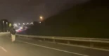 Dos personas circulan en patinete en plena noche y a toda velocidad por una carretera de Sevilla