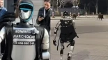 El robot que persigue a los jabalíes en Polonia tiene nombre, es 'influencer' y toda una celebridad en el país