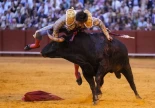 Grave cogida del torero Roca Rey en la Maestranza de Sevilla