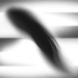 Lo que el criadero de Gijón y los más de 300 perros dicen de nosotros: indignación selectiva