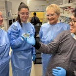 Investigadores australianos desarrollan recubrimiento nanotexturizado con nanopilares que destruye el 96% de virus en 6 horas