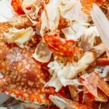 Descubren una innovadora forma de regular la degradación de los plásticos biodegradables