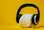 Resonancia neuronal: por qué la música que escuchas te cambia el cerebro