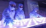 China supera a EEUU en inversión real en investigación y desarrollo