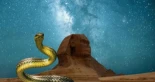 Un turista alemán muere en Egipto después de que una cobra se metiera en sus pantalones durante un espectáculo de encantador de serpientes y lo mordiera