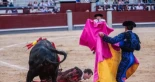 Grave cornada de 25 centímetros al subalterno Raúl Ruiz en Las Ventas: el pitón atravesó el muslo